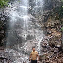 , 41, 