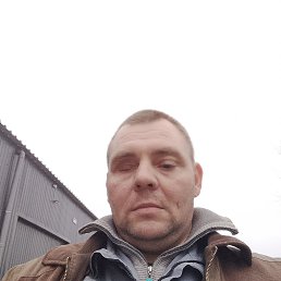 ��������, 44 ����, �������