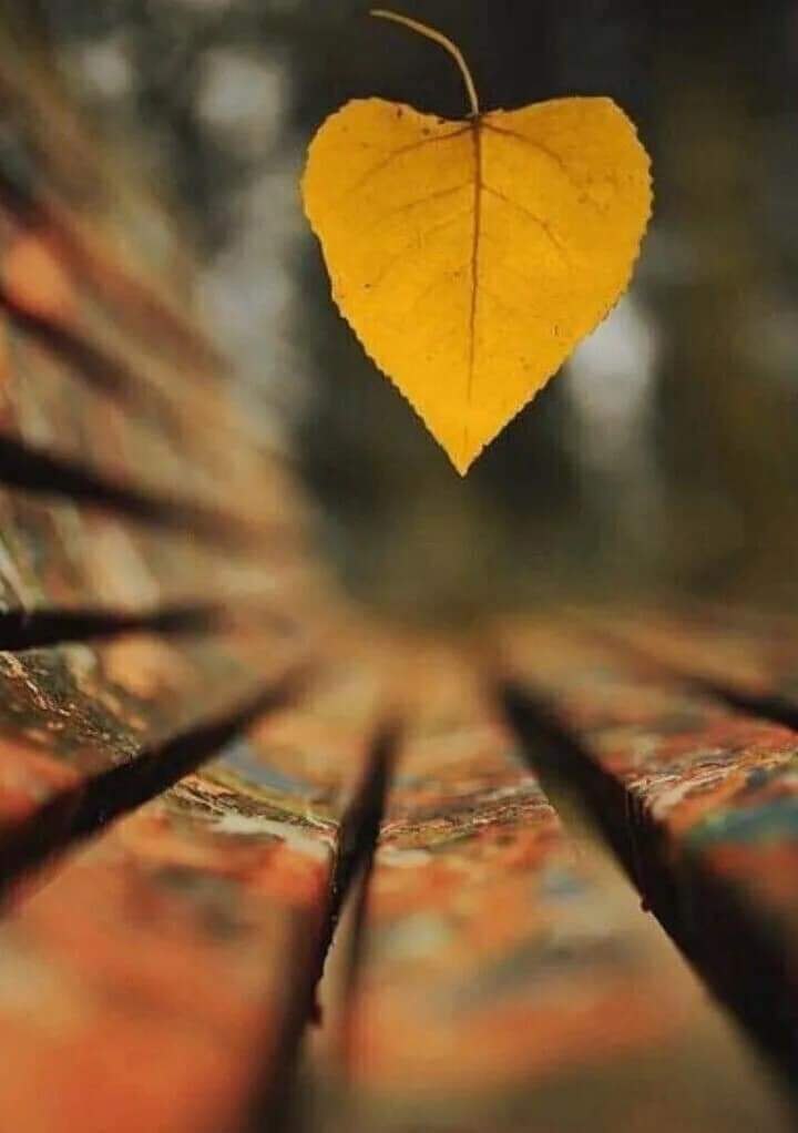   ,   ,    .  ,  ,  ...