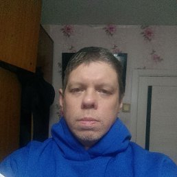 ������, 41 ���, �����