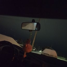 ���� ������, �����-��������, 30 ��� - ��������� 21 ������ 2024