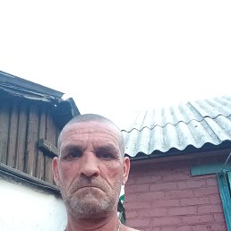 , 48, --