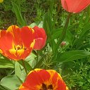 ���� ������, ���������, 57 ��� - ��������� 16 ������ 2025 � ������ ���� ����������