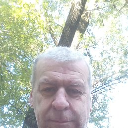 , 59, 