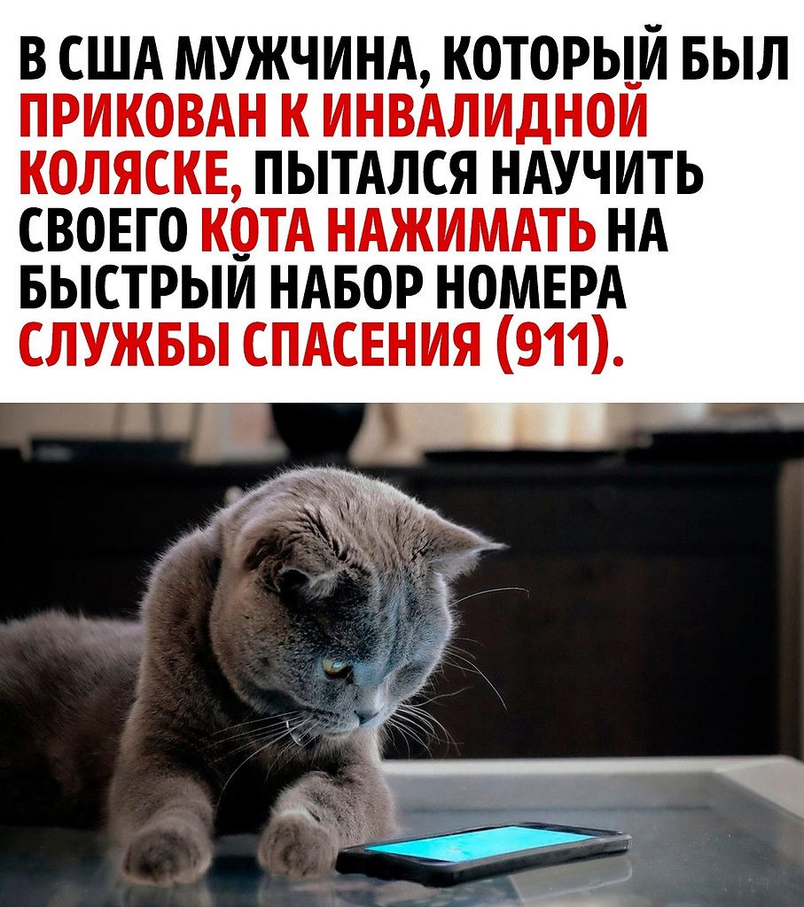     - 2
