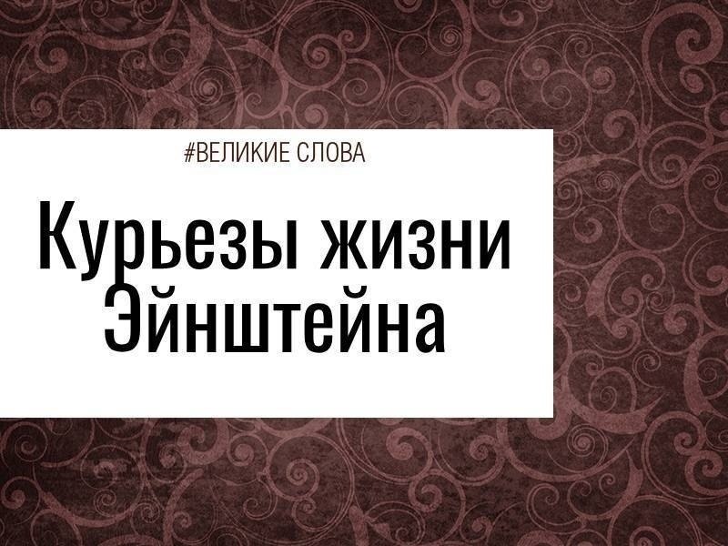 ��� ����� ���� ����� ����������� �������, � ������ ���������� ����������� ���� ���� ��������. ����� ...