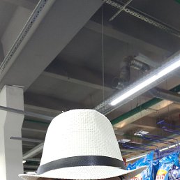 , 65 , 