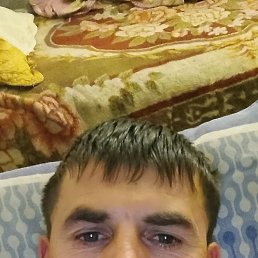 , 42, 