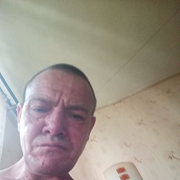 , 49 , 