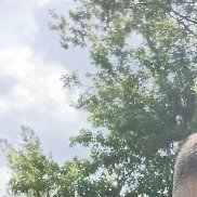 , 38 , 