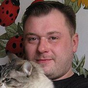  , 46 , 