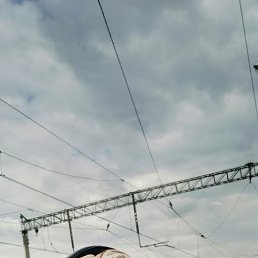 �����, 47 ���, ����������