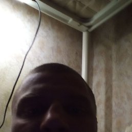 , 37, 