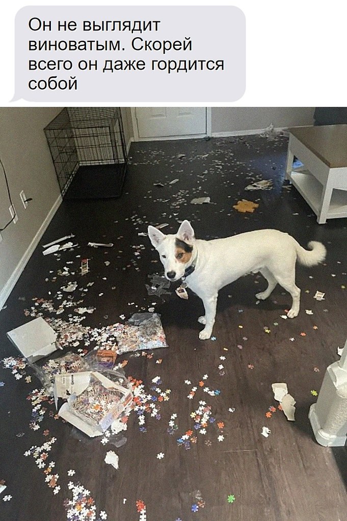 ��� �������� �������� - 23 ������ 2025 � 00:27