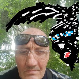 , 57, 
