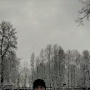 ���� �������, �������, 41 ��� - ��������� 1 ������ 2024 � ������ ���� ����������