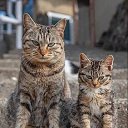 ���� �����, ������ - ��������� 13 ������ 2024 � ������ ���� ����������