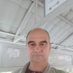 , 52, 