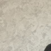 �����, 33 ����, �������