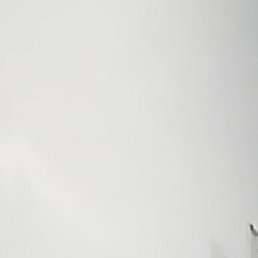 �������, �����������, 43 ����