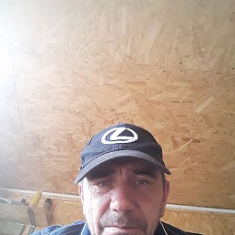 ����, 50 ���, ���������