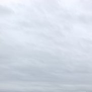 �������, 38 ���, �����������