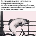 ���� ��������, ����������� - ��������� 28 ������� 2025 � ������ ������ ��������