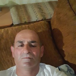 , 51, 