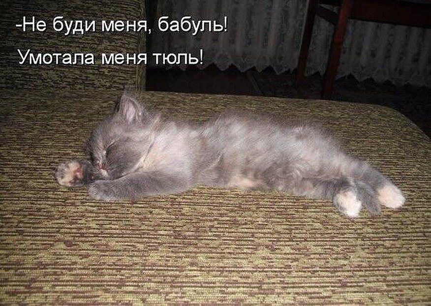 ? ,  ! - 19  2025  06:43