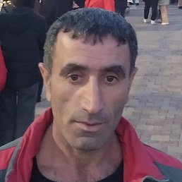 ������, ����, 41 ���