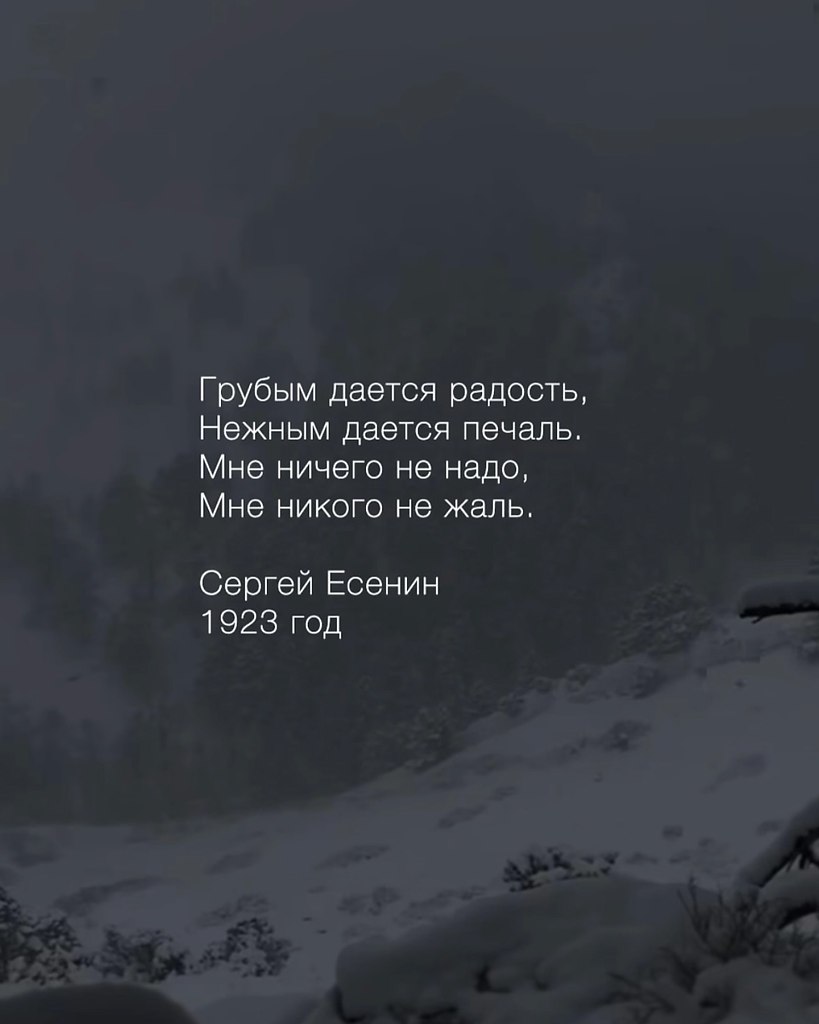   - 19  2025  20:53 - 6