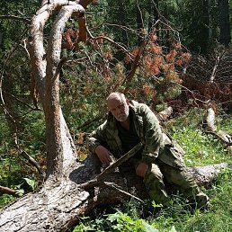 ����, �����