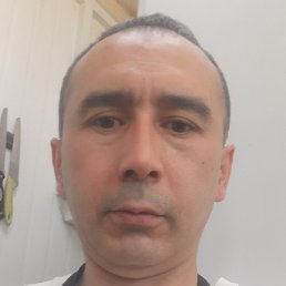 , -, 44 