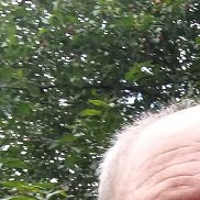 , 62 , 