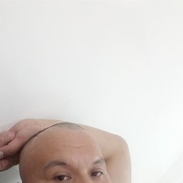 , 37, 