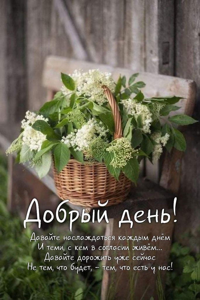 �� ����� ������! - 3 ���� 2026 � 14:06