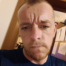 ������, ������, 41 ���