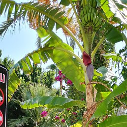 ������, �������, 58 ���