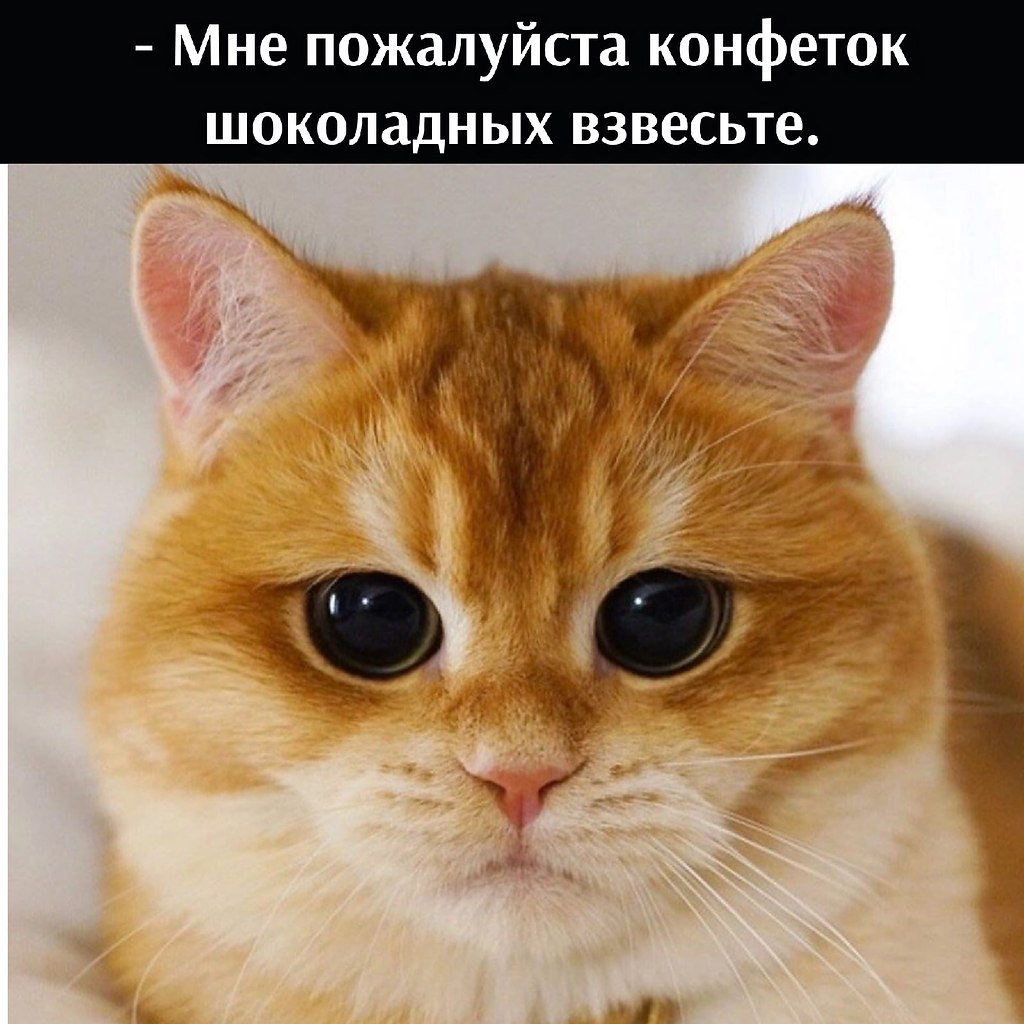 ��� ���� � ����� �� �� - 2 ������ 2026 � 16:33