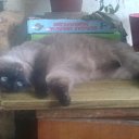 ���� ������, �������, 58 ��� - ��������� 13 ������ 2025 � ������ ������ ��������