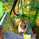  ,   -  23  2024    . -. 