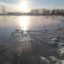 ���� ����, ���������� - ��������� 31 ����� 2026 � ������ ���� ����������