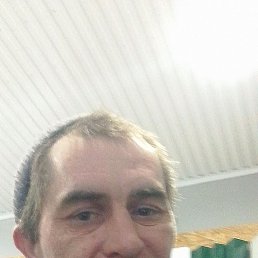 ����, 39 ���, ����