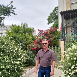 , 56, 
