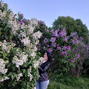 Розалина, 53 года, Москва Розалина, 53 года, Москва