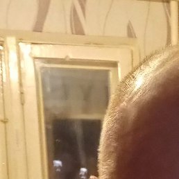 ������, ���, 62 ����