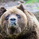 ���� ������, ������, 42 ���� - ��������� 1 �������� 2024 � ������ ���� ����������