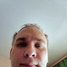 �����, 38 ���, �������