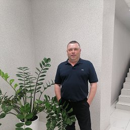 , 41 , 