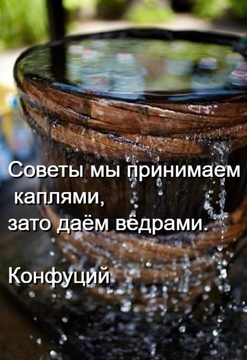   - 19  2025  06:41